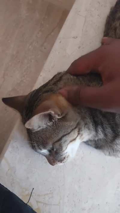 Give me more!!!!