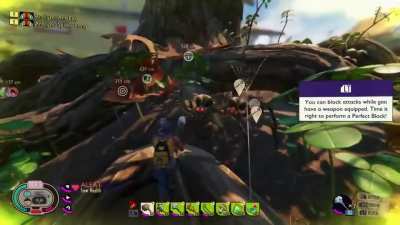 Flying spiders!!