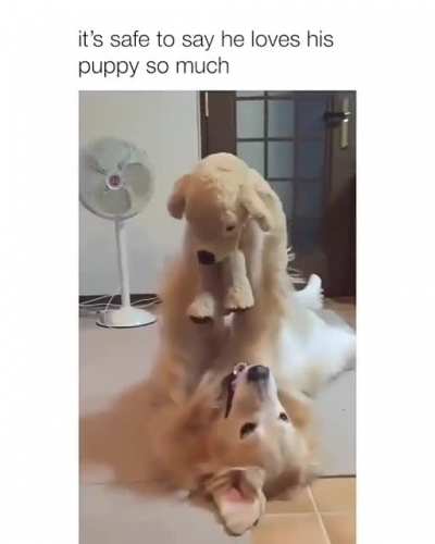 I love My Puppy