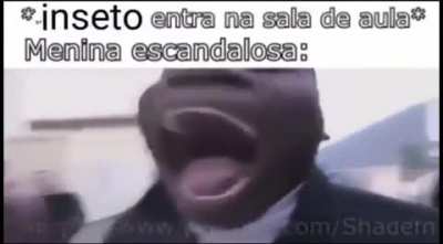 T&iacute;tulo foi matar o inseto