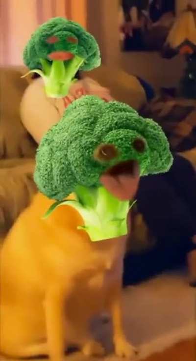 Thanks, I hate Broccoli Boi