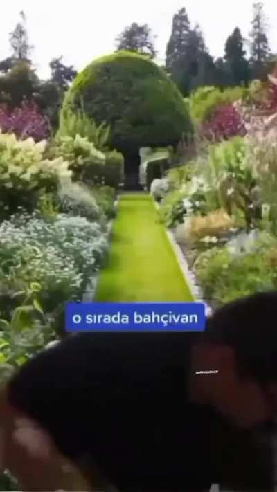 Bu dombiliye bayılıyorum yahu