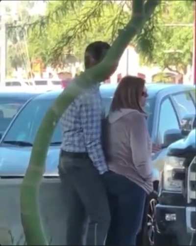 Maybe maybe maybe