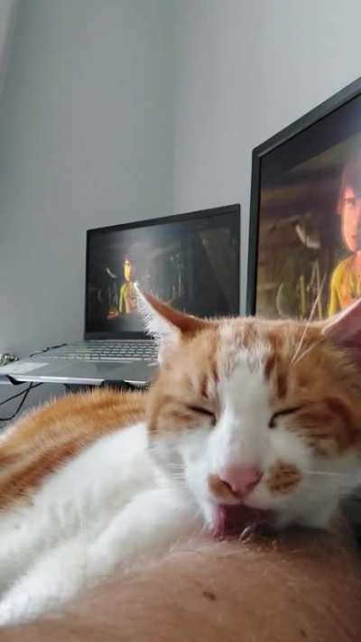 Alfie's Licky ASMR