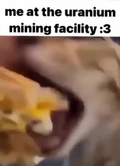 Tit
