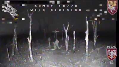 Ukrainian 82nd Air Assault Brigade Using a Silent FPV Drone with Night Camera