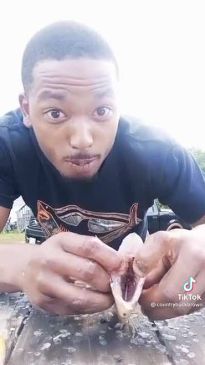 How to gut a fish