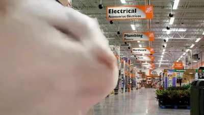 fuck lowes