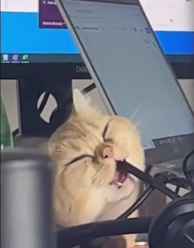 This is the third microphone he's destroyed!