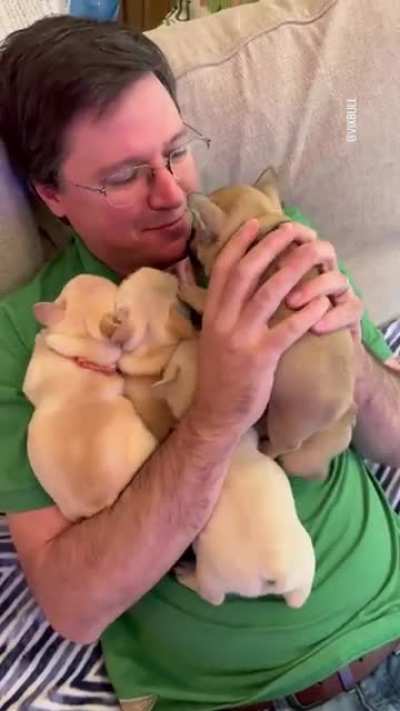 No amount of puppy is too much puppy