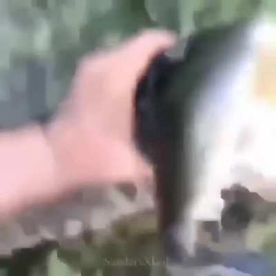 Florida