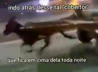 Quem esse que fica enfisa de mim tamb&eacute;m?