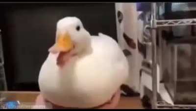 turn on the volume
