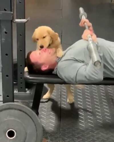 I don't think that&rsquo;s what they meant by get a Spot.
