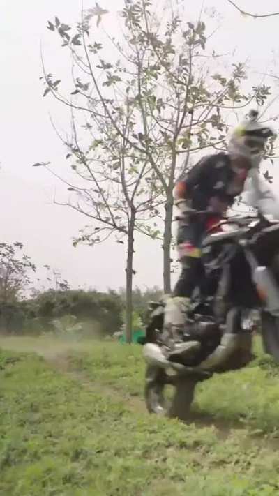 Himalayan 450 . 