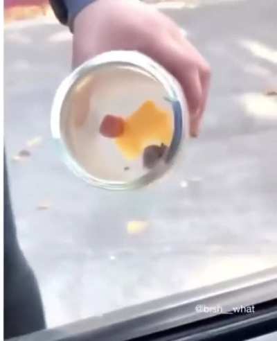 This little fucking mouse