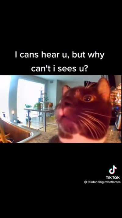 Confused.com
