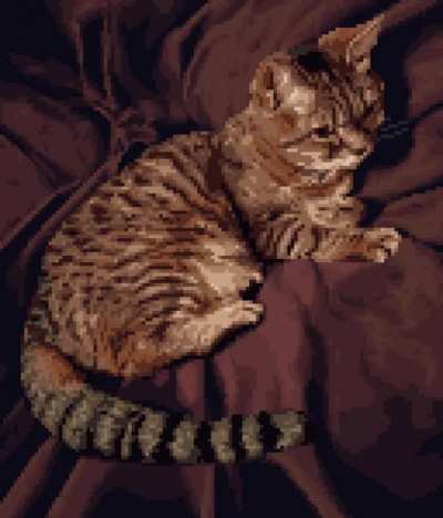 [OC] Cat