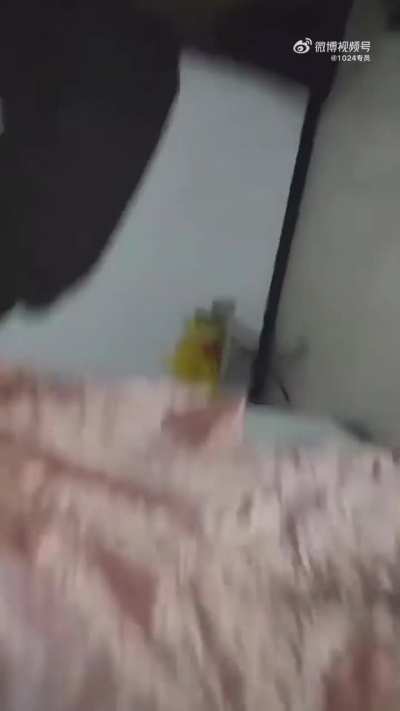 大姐出轨金屋藏奸，躲在床底下被发现。