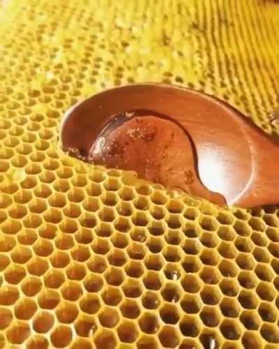 Straight from the honeycomb