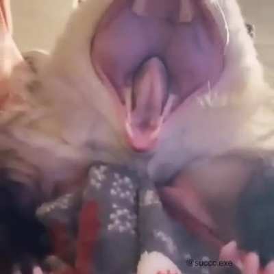 🙂