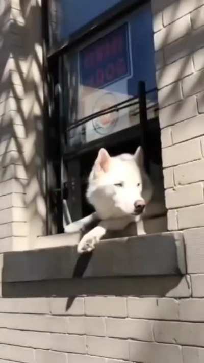 what does that sign say again