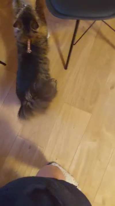 Who bit you? me?? No, no, I was busy
