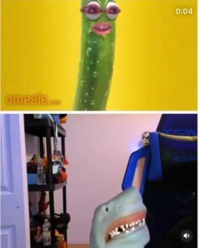 Hey pickle