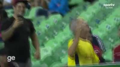 Ecuador fan