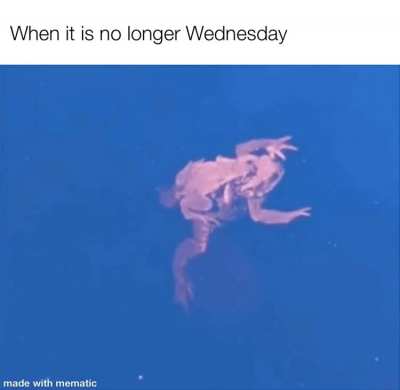 Frog be gone