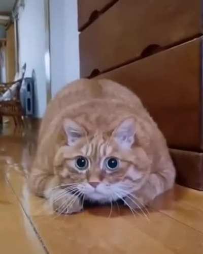 " i'm watching you "