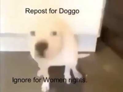 women no rights