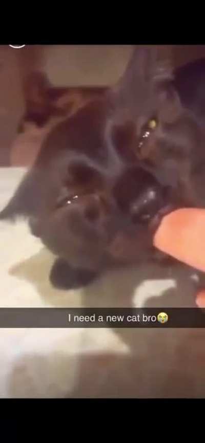 #143/ 😟😟😟