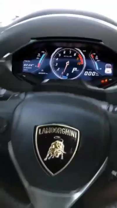 Just got my lambo with my "diamond hands".