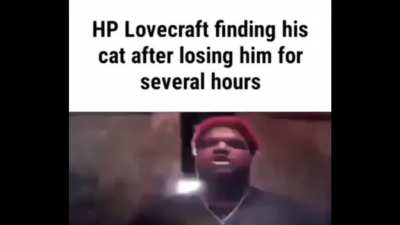 Come back here cat