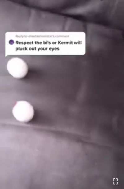 Respect the Bi&rsquo;s