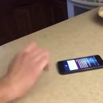 Siri remix