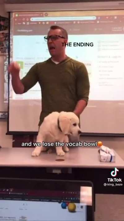 Not the dog...