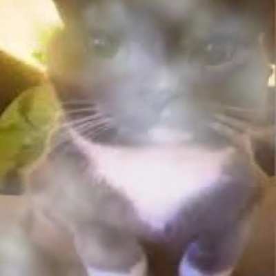 In my restless dreams... i see that town... lobotomyposting