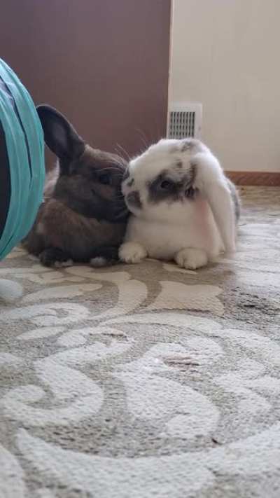 Relationship goals