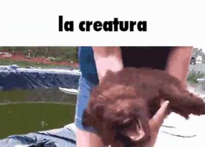 La rule