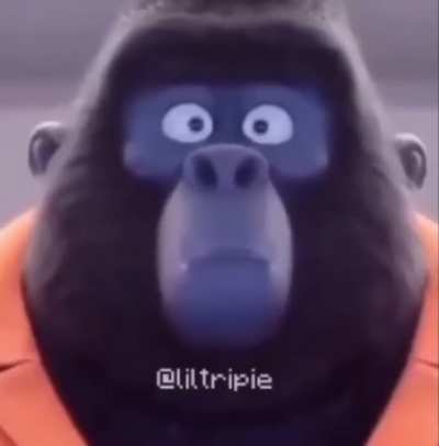cursed_monkey