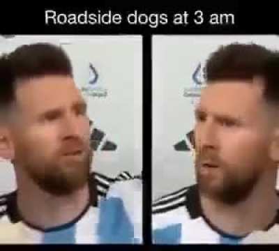 Los gatos en el techo a las 3 de la ma&ntilde;ana.