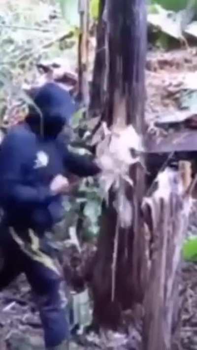 Chain fist massacre man, mower of trees 