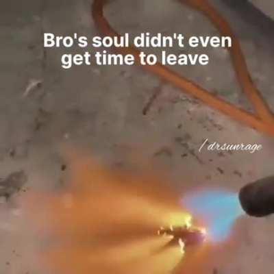 wholesome!!