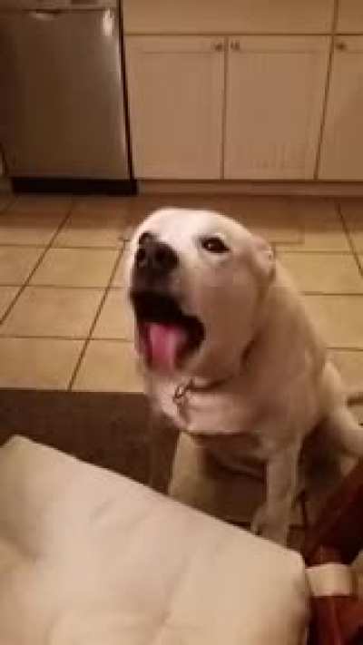 Blah, blah, blah