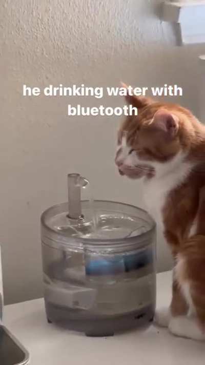 It&rsquo;s not his time with the brain cell