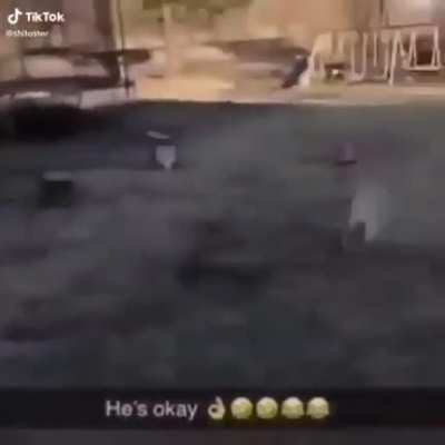 Perro truco