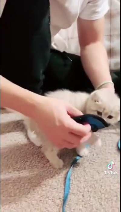 Maybe maybe maybe