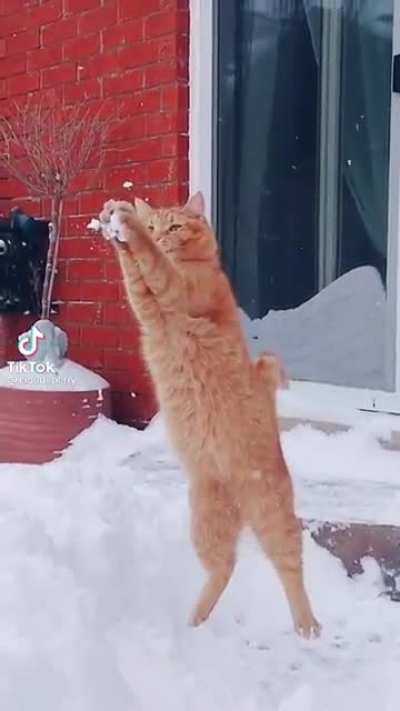Where&rsquo;d it go, where&rsquo;d it go?